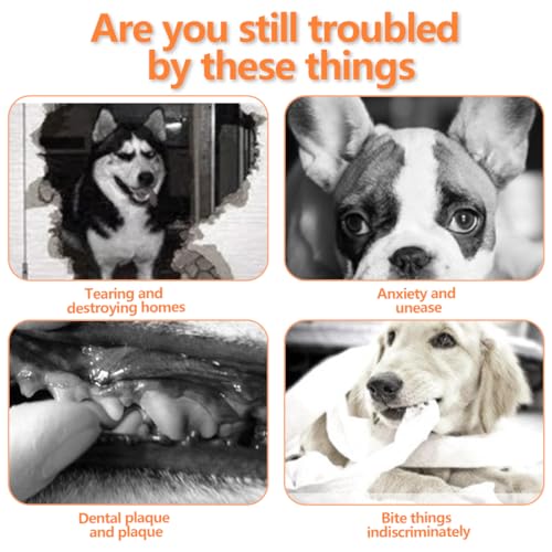 Jouet Anti-Stress Ente pour Chien - Peluche Indestructible pour Petits et Grands Chiens, Doudou Chien avec Design Sécurisé (Jaune) – Image 4