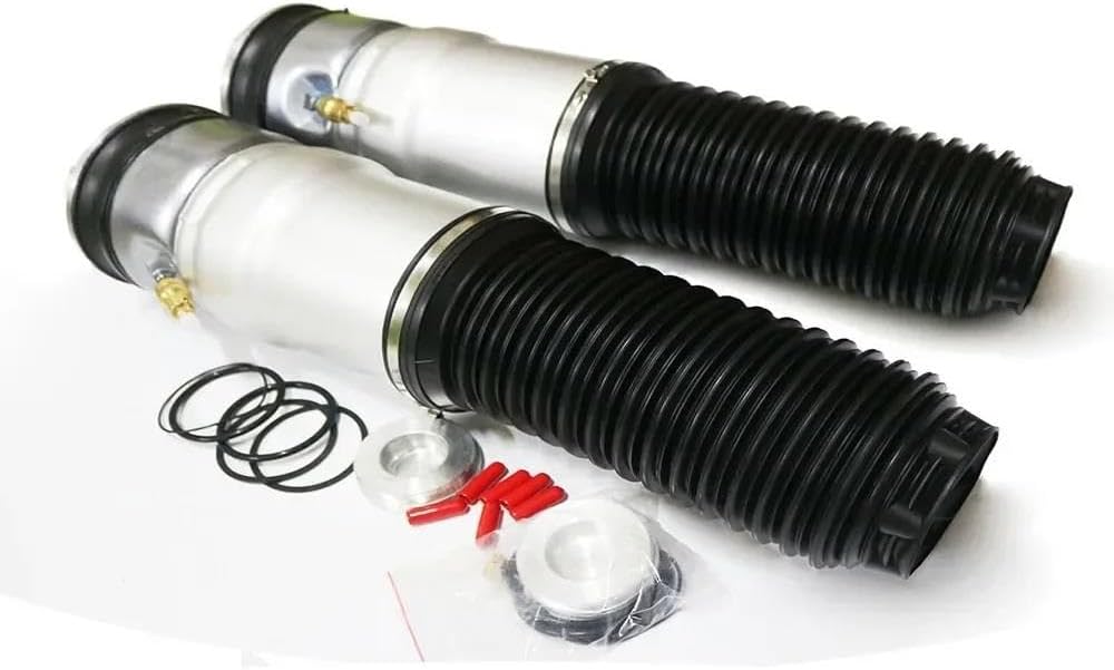 ランナー/黒ダイヤベニワレン No.539 BlackDiamond(ブラック