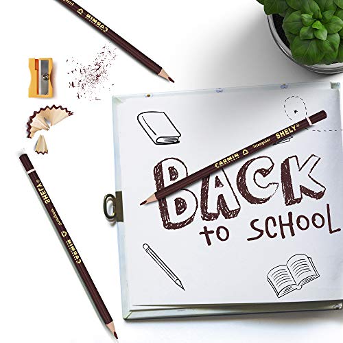 Rostro, Wireless Imagen adicional