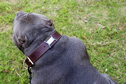 Slide-On Pet Id Tags - Stainless Steel Dog Tags For Small Medium Large Xlarge/Custom Engraved No Noise Animal Identification Tag On 3/8 5/8 3/4 1.0" Wide Collar - 6 Colors #TOP5