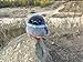 Pigeon Bird Plush with Weighted Fidget Beads. Stress Ball Rock Dove