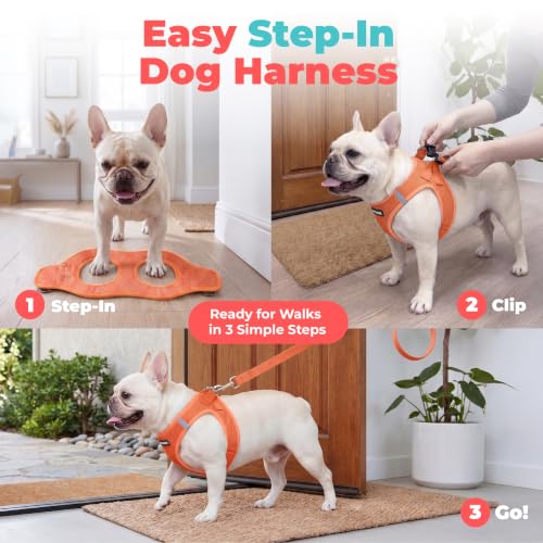 Image of Voyager Step-in Air Dog Vest Harness - Orange, Small | 14.5-16 inch in Chest, Reflective Bands, All Weather Breathable Air Mesh, Cats Compatible, Lightweight, Fast Drying