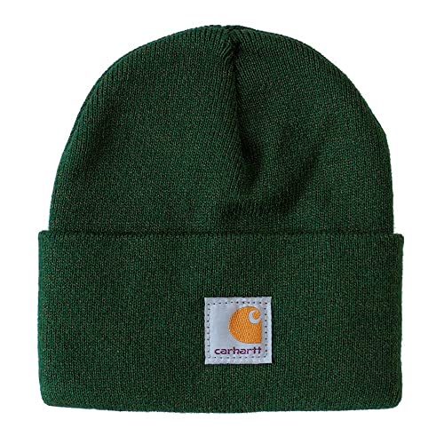 Carhartt unisex child Acrylic Watch Cold Weather Hat, Forest/Olive, 2-4T US