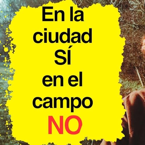 Por qu&eacute; hay negocios o profesiones que funcionan en la ciudad&hellip; y en el campo no