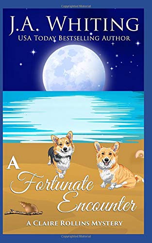 A Fortunate Encounter (A Claire Rollins Mystery)