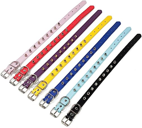 haoyueer Hundehalsband aus Leder, mit Nieten, Pilze, Nieten, Katzenhalsband für kleine mittelgroße Hunde, Katzen, Welpen, Kitty (S, Schwarz)