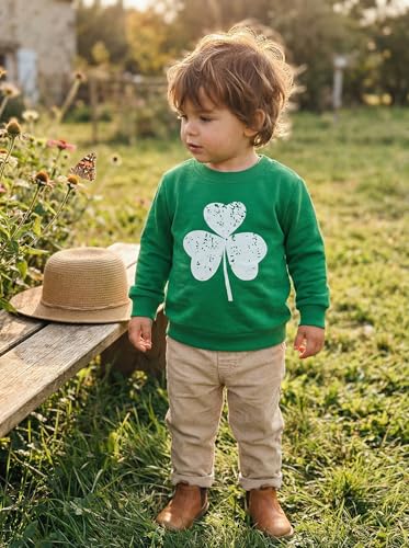 Image of Akyzic Boys Sweatshirts Cotton Long Sleeve Crewneck Pullover Toddler Kids Winter Warm Shirt Sweater Tops 3t-8t