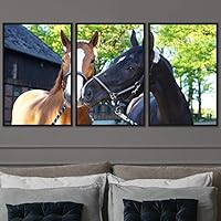 3 Piece Framed Canvas Wall Art A Friend with Me Animals Farmhouse Fun Horse Living Room - 16