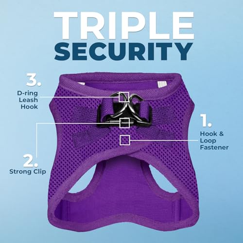 Image of Voyager Step-in Air Dog Harness - All Weather Mesh Step in Vest Harness for Small and Medium Dogs by Best Pet Supplies - Purple (Matching Trim), XS