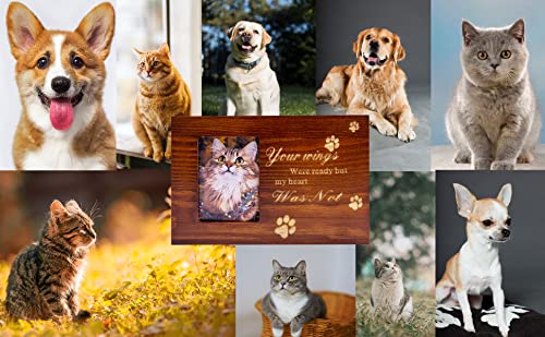 Memorial Urns For Dog Or Cat Ashes,Pet Memory Bone Box Funeral Cremation Photo Frame Funerary Caskets #TOP6