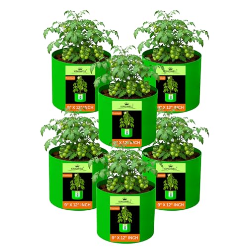 Image of Kingwell grow bags 9x12 inches pack of 6 For Terrace Garden Vegetable Plant Grow Bags Fruits Growing Containers For terrece Gardening