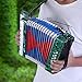 Focket Piano Accordion, 17 Key 8 Bass Button Hand Piano Accordion Lightweight Concertina Educational Music Instrument with Manual, for Solo and Ensemble Beginners Students Kid (Green)