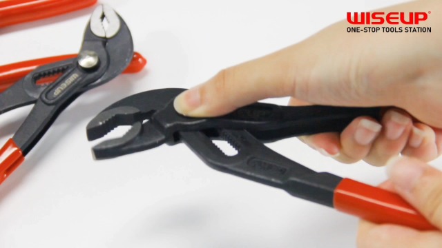 琵琶っ子 31191vhfr-L.jpg_BO30,255,255,