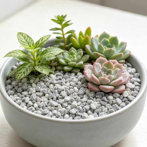 Image of 10lbs Natural Gravel Pebbles for Succulents and Cacti, 1 /5 Inch Decorative River Stones - Perfect for Vases, Aquariums, Terrariums, and Outdoor Gardening, Mixed Colors (Grey, 10 Pounds)