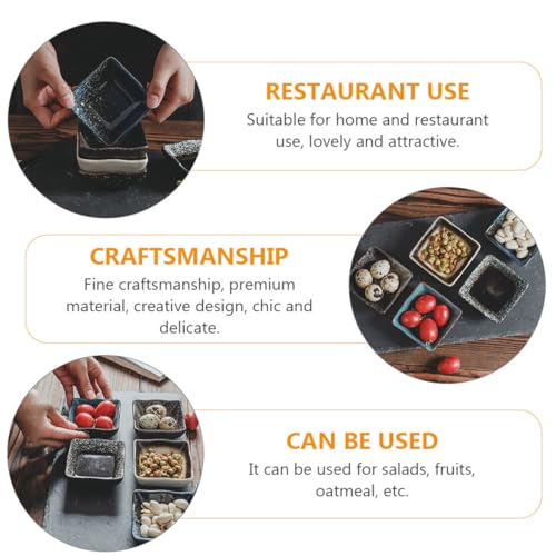 Juego de 5 platos japoneses de cerámica para sushi miniatura 6