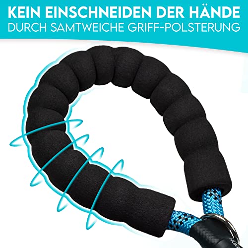 HUND IST KÖNIG Hundeleine - 1,5m Hunde Leine für Gassigehen & Training - Führleine mit weichem Griff & Reflektoren - ideale Alltagsleine für alle Rassen - leicht & robust, inkl. eBook