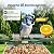 Smart Bird Feeder with Camera Solar Powered, 2K Bird Watching Camera, AI Identify Birds Species, Auto Capture Videos, Instant Alerts, Garden Decor, Gifts for Mom Dad & Bird Lovers