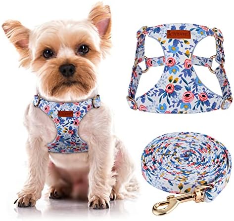 CHEDE No Pull Floral Pattern Dog Harness- Lightweight and Soft Dog Harness, Adjustable Small Dog Harness and Leash Set, with Dog Leash, Suitable for Puppy Small and Medium-Sized Dog (XS, Blue Rose)