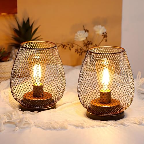 JHY DESIGN Set mit 2 LED-Laternen aus Metallkäfig, batteriebetrieben,...