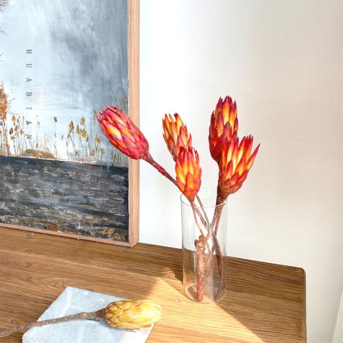 5 flores protea secas para decoración interior miniatura 2