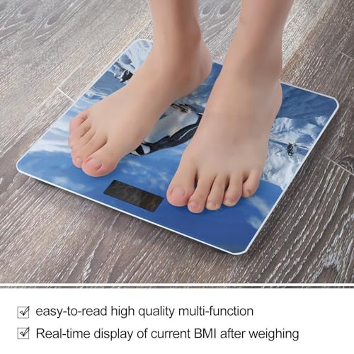Báscula Digital Snow Mountain Penguin para Baño miniatura 5