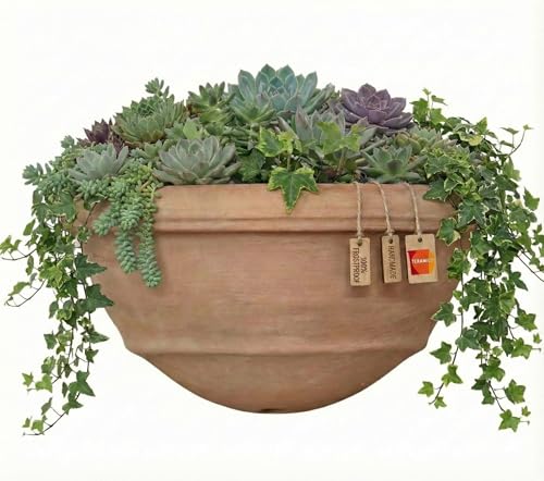 Teramico Blumentopf Pflanzgefäß für die Wand Vaso a Muro Terracotta FROSTFEST -QUALITÄTSWARE- -Italienisches Terracotta- Ideal für den Außenbereich für Garten, Balkon und Terrasse (41cm)