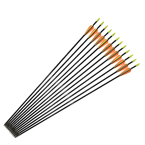 Fiberglass Arrows Archery 30 Inch Target Shooting Practice Safetyglass Recurve Bows Suitable for Youth Woman Beginner 6 PCS
