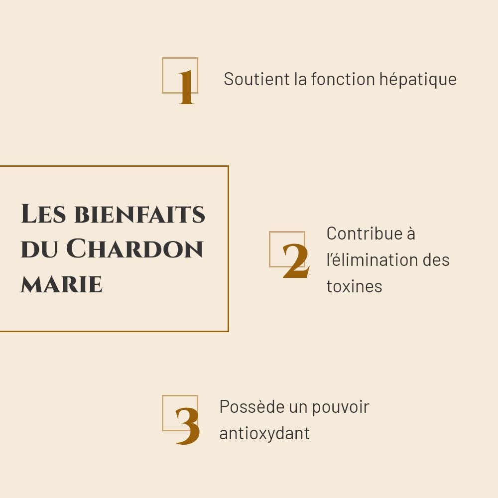 Chardon Marie - Complément nutritionnel Cheval - Seau 1 kg - Détoxification Foie Cheval - Élimination des toxines - Marque Française