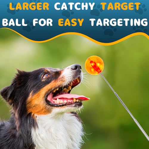 DuDuDog Dog Training Clicker for Training with Retractable Target Stick and Bright Ball, Clear Plastic Handle, Adjustable Length Trainer for Dogs, Puppies, Cats and Pets - Image 5