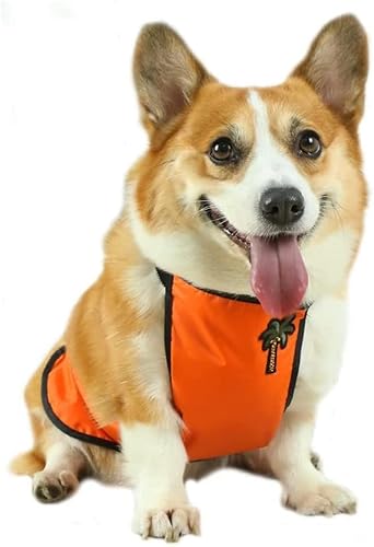 犬 エプロン 泥よけ 小中型犬用 レインエプロン レインコート ドッグウエア お腹エプロン 泥除け 防水 通気性 可愛い コーギー 柴犬 フレンチブルドッグ ダックス用 カッパ ペット用品 お散歩お出かけ服 雨具 (オレンジ(女の子用),M)