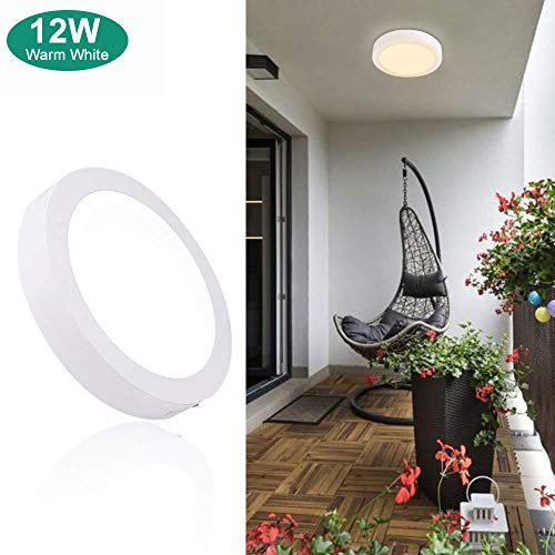 Preisvergleich Produktbild DINGLILIGHTING Deckenleuchte Rund LED Deckenlampe Wandlampe Wandleuchte, 12W-warmweiß