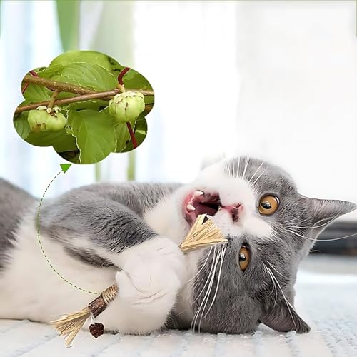 Brinquedo Natural para Gatos com Silvervine Matatabi Kit com 2 Unidades Varinha Artesanal com Corda