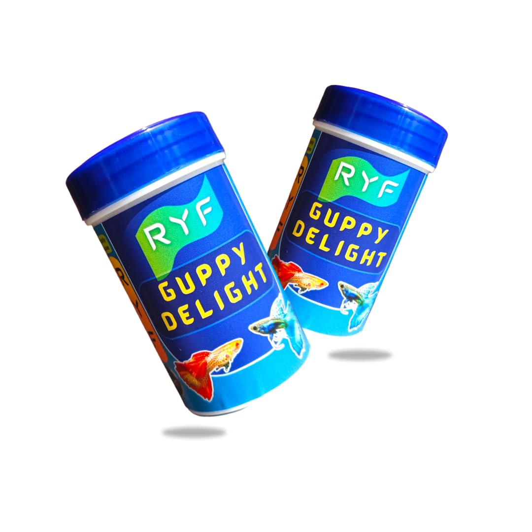 See full amazon price history chart for RYF Guppy Delight | Fish Food for Guppies | High Protein Formula with Prebiotics | Supports Healthy Growth and Digestion at All Life Stages| 45grams | 48% Protein || Pack of 2 || RYF Guppy Delight | Fish Food for Guppies | High Protein Formula with Prebiotics | Supports Healthy Growth and Digestion at All Life Stages| 45grams | 48% Protein || Pack of 2 || (B0D25K6FZS) Amazon Price History, Amazon Price Tracker