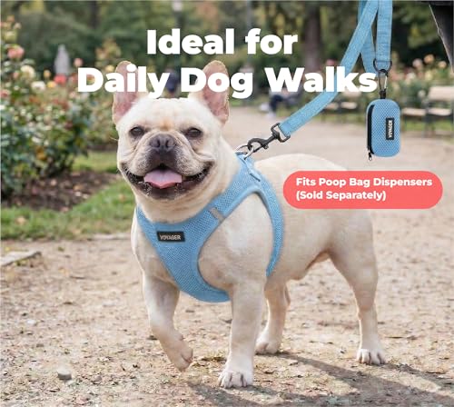 Image of Best Pet Supplies Voyager Reflective Dog Leash or Collar with Neoprene Handle, for Small, Medium, and Large Breed Puppies, Cute and Heavy Duty for Walking, Running and Training - Baby Blue (Leash), S