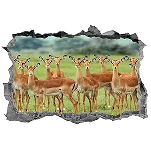 Muurstickers 3D Spiegelweergave Doorbreken De Muur Vinyl Muurstickers Verwijderbare DIY Vinyl Muurstickers Impala voor…