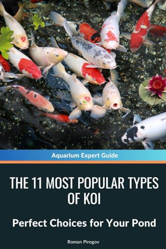 The 11 Most Popular Types of Koi: Perfect Choices for Your Pond
