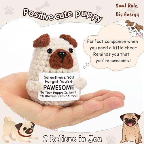 Lodeskee Positive Decor Affirmations Signs Cute Birthday Gifts for Women Friend Teen, Emotion Inspirational Support Handmade Crochet Presents Encouragement Decoration for Pet Dog Lover - Image 2