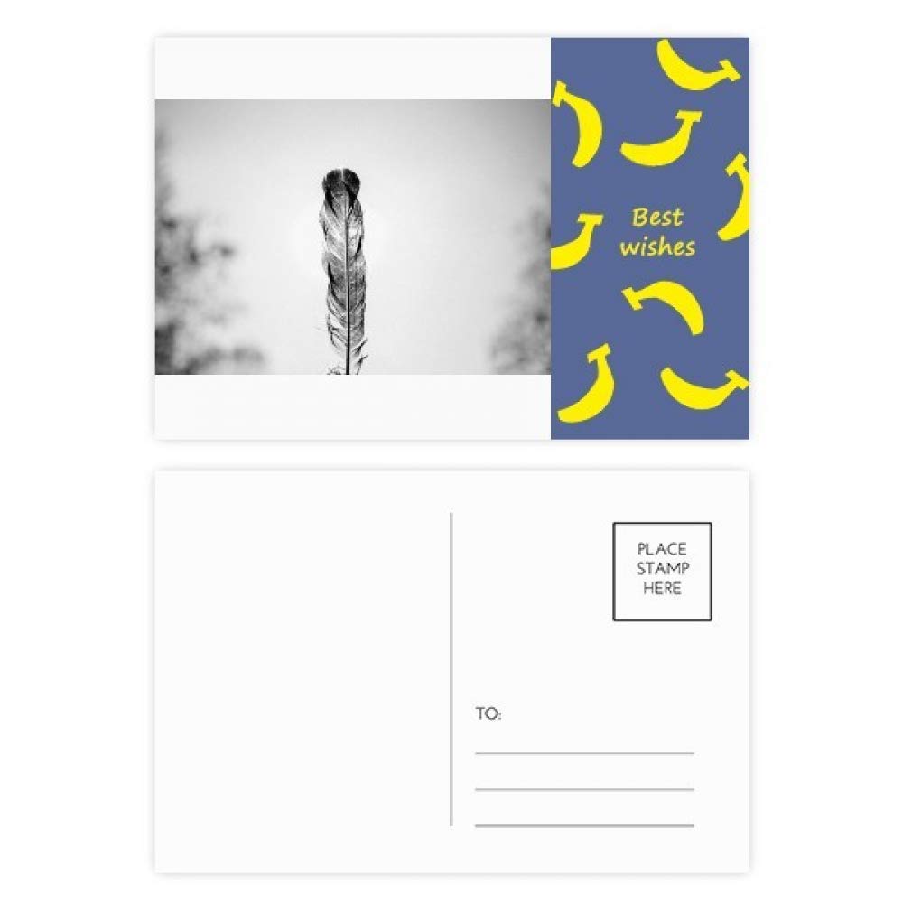 Carte postale Set 20pcs DIYthinker Banane Plume Organisme sauvage