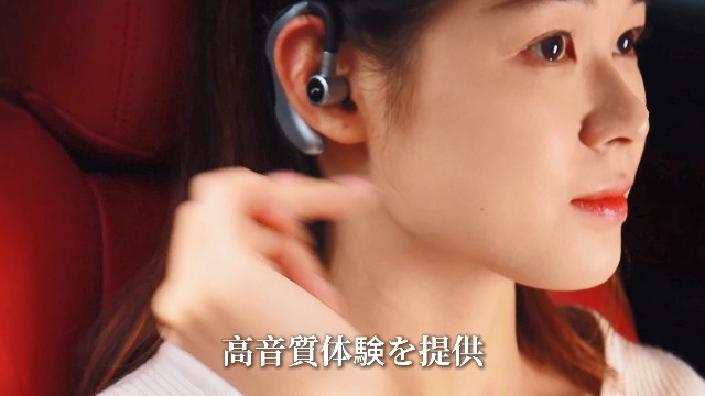 鶴さま 51vljaahRiL.jpg_BO30,255,255,