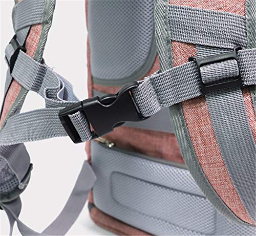 Sac à dos pour animaux pliable Lyperation transport chat chien - 7