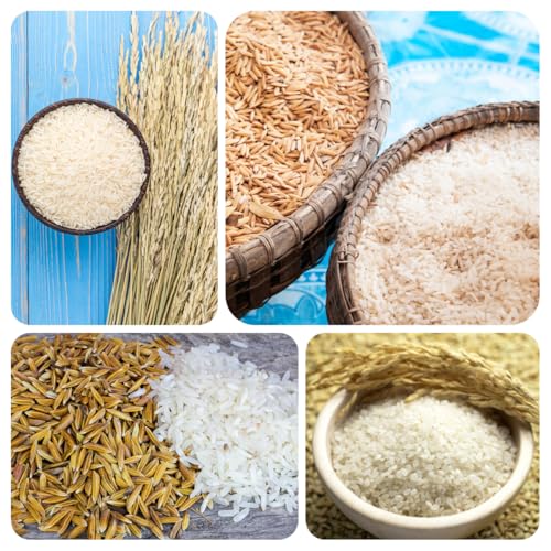 Rice Seeds – Landscape-Friendly Addition for Integrating Aquatic Greenery into Cottage Garden Designs 100pcs