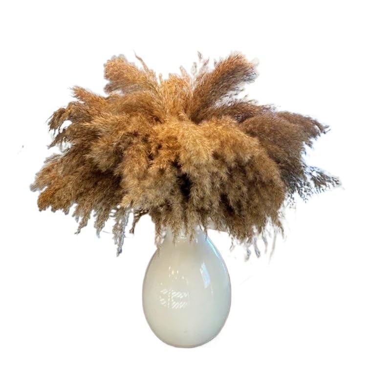 Pampas Grass grande 50-60cm decorativo natural miniatura 1