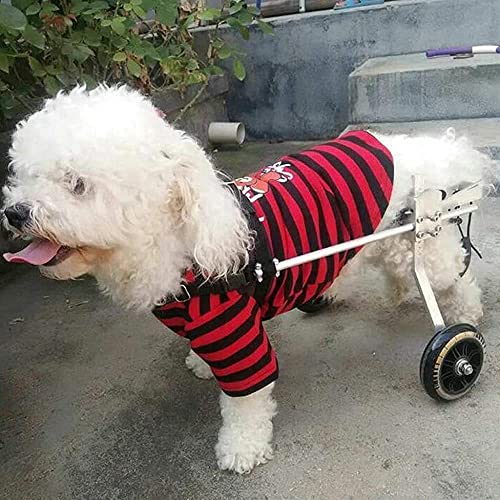 AEGCAOJH Silla de Ruedas para Perros y Mascotas