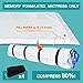 Queen Size Mattress Vacuum Bag for Memory Foam/Latex Mattress Upto 14 Inch, Moving Shipping and Storage, Waterproof and Airtight with 4 Adjustable Straps