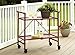 Cosco Indoor/Outdoor Serving Cart, Folding, Ruby Red