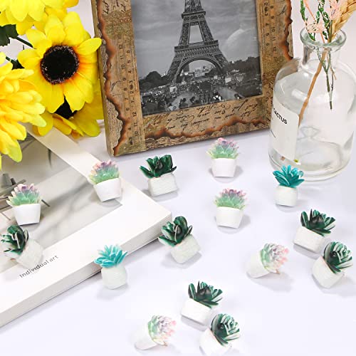 Chinchetas de corcho decorativas con forma de suculenta para oficina y aulas 5