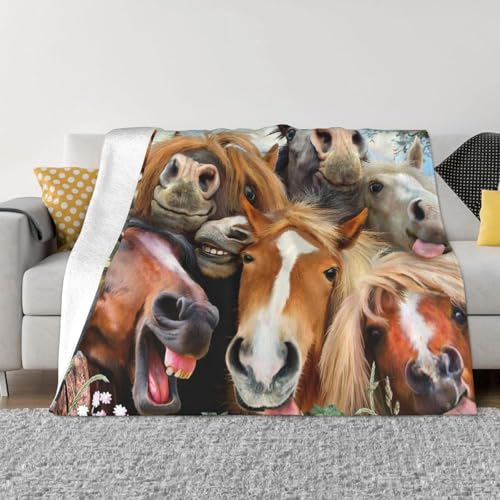 ʔn uPbgtl _炩G 􂦂 \t@uPbg ԗp lGKp