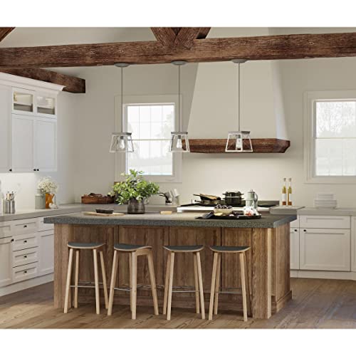Image of Progress Lighting Briarwood Collection 1-Light Coastal Mini-Pendant Light Graphite, Black