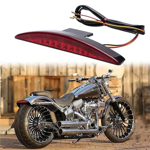 Luz de freno para Harley Davidson Breakout en rutas de fin de semana por montaña