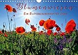 margeriten pflanzen überwintern Autor(in): Peter Roder Blumenwiesen – ein blütenzauberhaftes Jahr (Wandkalender 2021 DIN A4 quer)